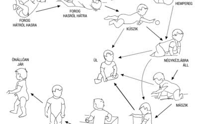 A mozgásfejlődés szakaszai